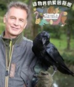 动物界的爱因斯坦 第一季 Chris Packham's Animal Einsteins Season 1            (2021)