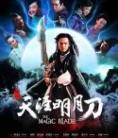 天涯明月刀            (2012)