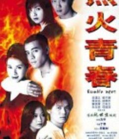 烈火青春            (1998)
