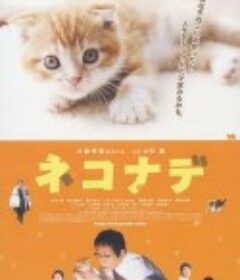 小猫奇缘 ネコナデ            (2008)