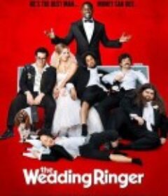定制伴郎 The Wedding Ringer            (2015)