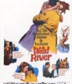 狂澜春醒 Wild River            (1960)