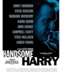 英俊的哈里 Handsome Harry            (2009)