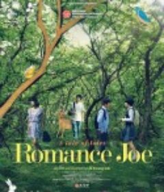 罗曼斯·曹 로맨스 조            (2011)