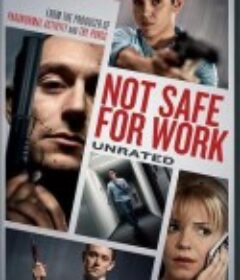 危险工作 Not Safe For Work            (2013)