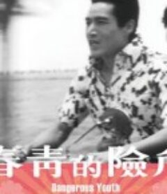 危险的青春 危險的青春            (1969)