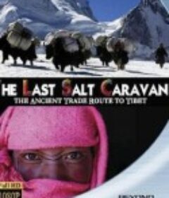 最后的盐道 The Last Salt Caravan            (2009)