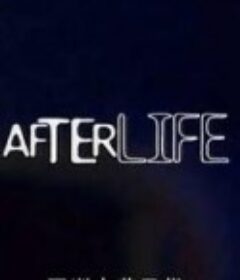亚洲丧葬风俗 After Life            (2014)