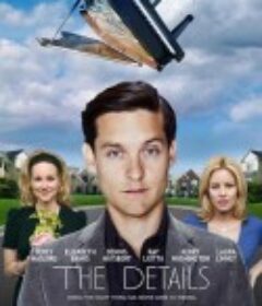 乱斗夫妻 The Details            (2011)