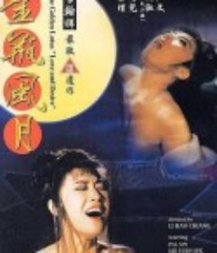 金瓶风月 金瓶風月 (1991)