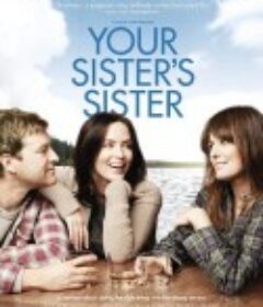 姐妹情深 Your Sister's Sister            (2012)