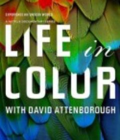 生命之色 Life In Colour            (2021)