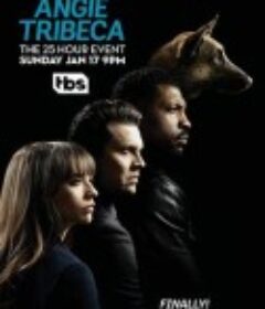 爆笑女警 1-4季 Angie Tribeca Season 1            (2016)