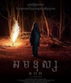 灵魂 Roh            (2019)