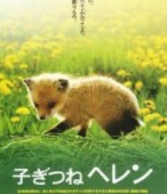 子狐物语 子ぎつねヘレン            (2006)