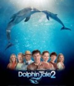 海豚的故事2 Dolphin Tale 2            (2014)