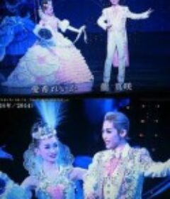 宝塚歌剧 华丽的百年 宝塚歌劇 華麗なる100年 ～スターが語る夢の世界～            (2014)