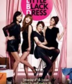 我的黑色小礼服 마이 블랙 미니드레스            (2011)
