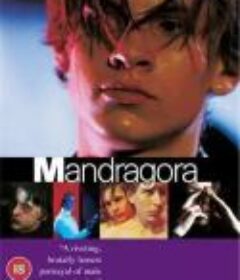 布拉格男妓 Mandragora            (1997)