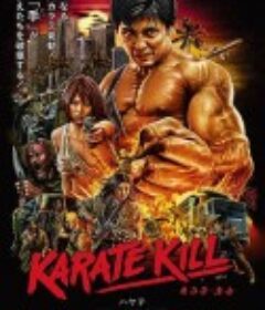 绝杀空手道 カラテ・キル            (2016)