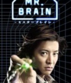 脑神探 MR. BRAIN            (2009)