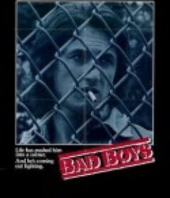 坏小子 Bad Boys            (1983)