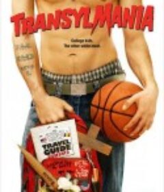 吸血鬼大电影 Transylmania            (2009)