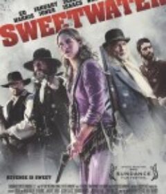 甜蜜的复仇 Sweetwater            (2013)