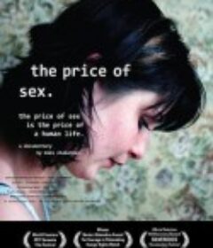 性的代价 The Price of Sex            (2011)