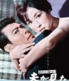 丈夫亲见女人的小箱 「女の小箱」より 夫が見た            (1964)