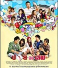 爱在拜城 Pai In Love