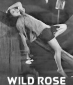 野玫瑰            (1932)