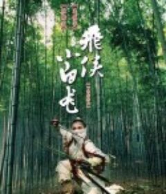 飞侠小白龙 飛俠小白龍            (2004)