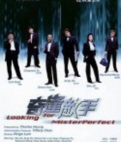 奇逢敌手            (2003)