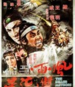 风雨双流星 風雨雙流星            (1976)