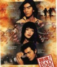 坏小子特攻 BadBoy特攻            (2000)