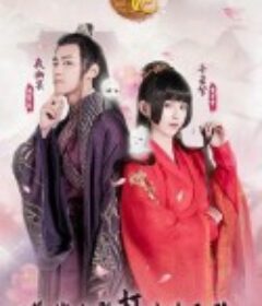 通灵妃 第一季~第二季            (2019~2020)