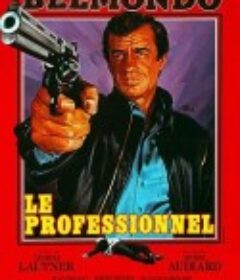 危情谍影 Le professionnel            (1981)