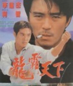 龙在天涯 龍在天涯            (1989)