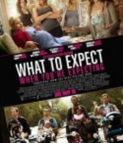 孕期完全指导 What to Expect When You're Expecting            (2012)
