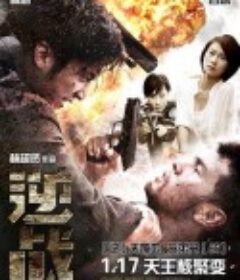 逆战            (2012)