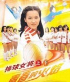 排球女将 燃えろアタック            (1979)