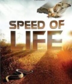 探索频道：生命的速度 Discovery Channel ：Speed of Life            (2010)