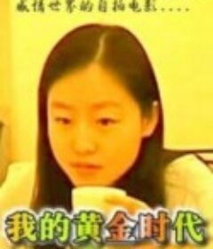 我的黄金时代            (2003)