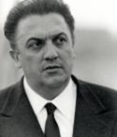 费德里科·费里尼电影全集-24部作品