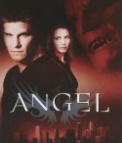 暗黑天使 1-5季 Angel Season 1            (1999)