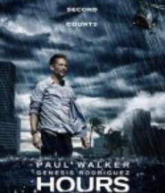 生死倒数 Hours            (2013)