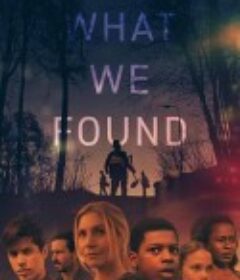 我们发现了什么 What We Found            (2020)