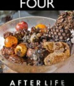 生命循环：奇异的腐烂科学 After Life: The Strange Science of Decay            (2011)