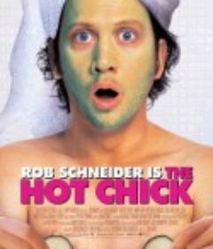 小姐好辣 The Hot Chick            (2002)